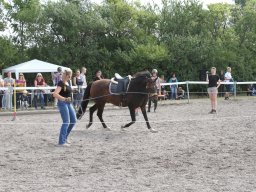 IMG_1357_web